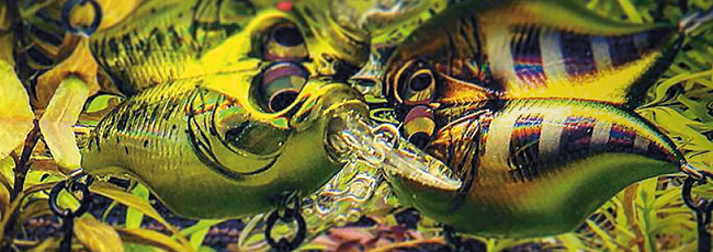 Megabass - メガバス オンラインショップ