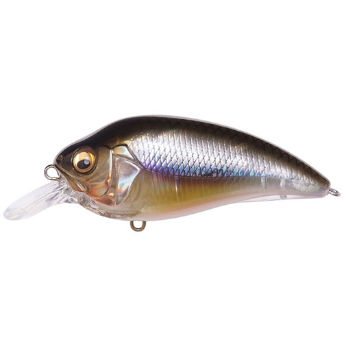 SUPER-Z  Z1 カスミITO