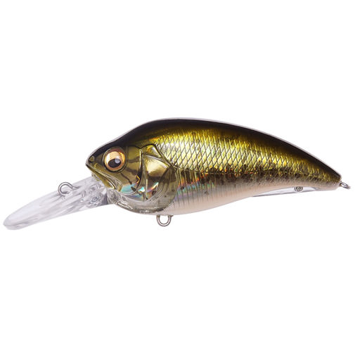 SUPER-Z  Z2 GG バス