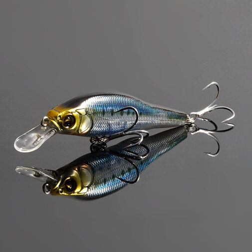 【オンライン限定】X-80SW FA マイワシ