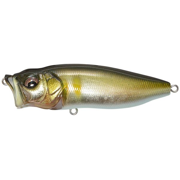 000000008608-01-l.jpg?t=