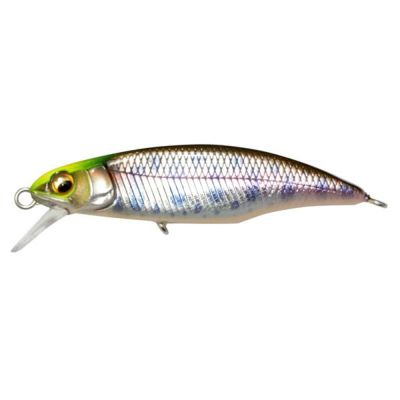 OROCHI EVOLUZION F7-76RDti | Megabass - メガバス オンラインショップ