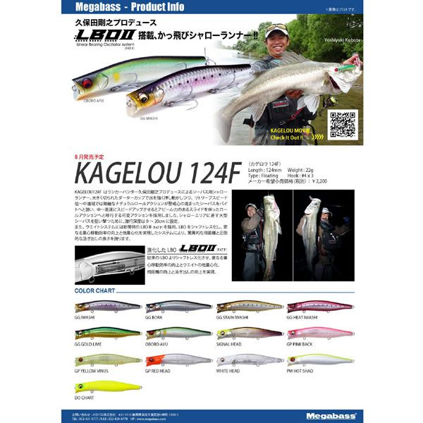 KAGELOU 124F GG ステインイワシ | Megabass - メガバス オンライン