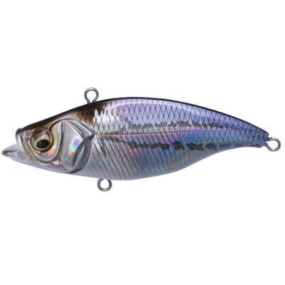 000000010769-01-m.jpg?t=