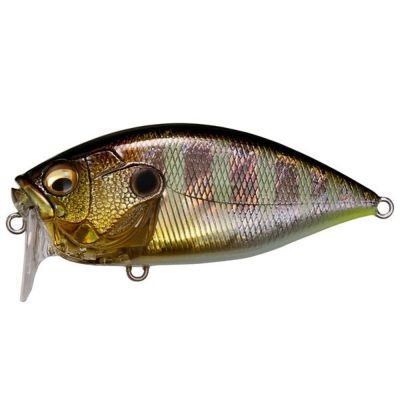 O.R.C 和銀オイカワ | Megabass - メガバス オンラインショップ