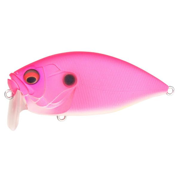 000000013210-01-l.jpg?t=