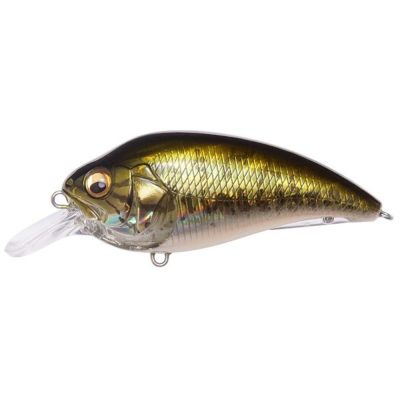 SUPER-Z Z1 GG バス | Megabass - メガバス オンラインショップ