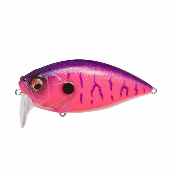 000000014818-01-l.jpg?t=