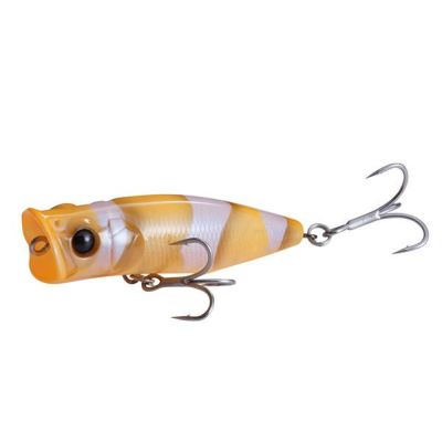 【オンライン限定】POPPING DUCK シースルークマノミ