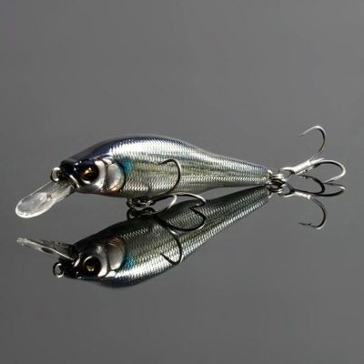 オンライン限定】X-80 MAGNUM FA ボラ | Megabass - メガバス