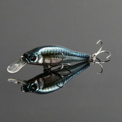 【オンライン限定】X-80SW FA マサバ