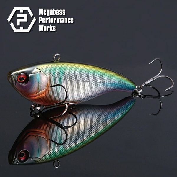 000000015912-01-l.jpg?t=