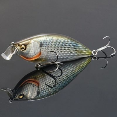Megabass ワールドフロッグセレクション 2020 未使用 激レア【メガバス