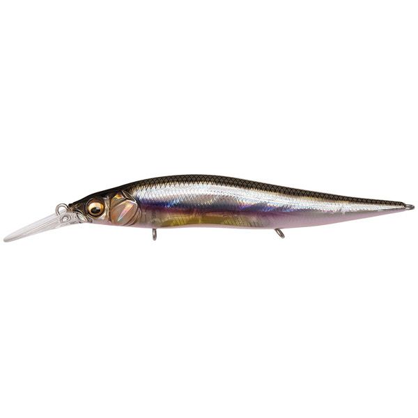 000000017010-01-l.jpg?t=