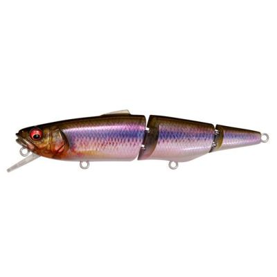 ここでしか買えない メガバス プレミアム | Megabass - メガバス