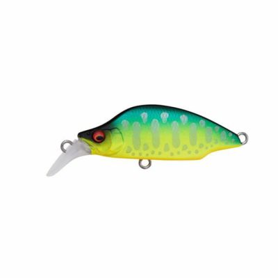 DOG-X Jr. COAYU PM アユ | Megabass - メガバス オンラインショップ