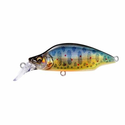 メガバス　ダルマ　セット　オンライン限定 mqdefault.jpg