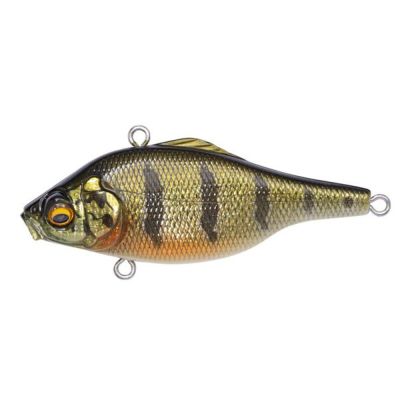 VIBRATION-X SMATRA(RATTLE IN) ストライクチャート | Megabass