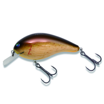 000000021652-01-m.jpg?t=