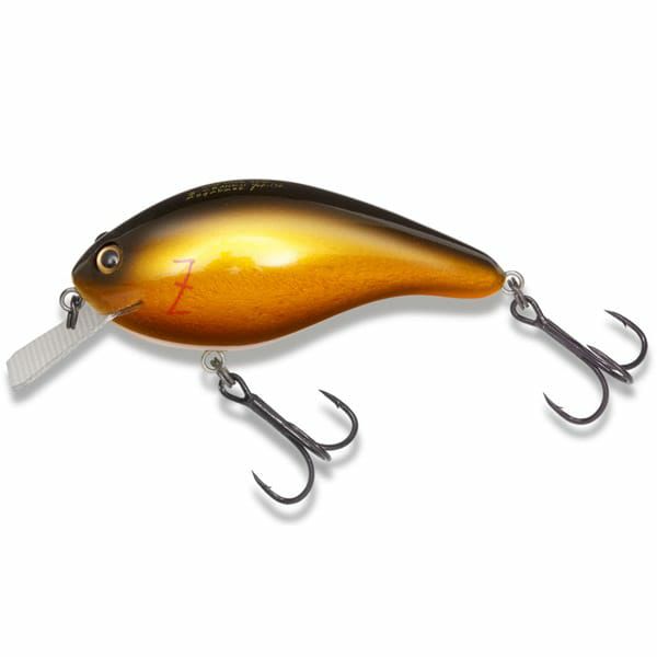 000000022161-01-l.jpg?t=