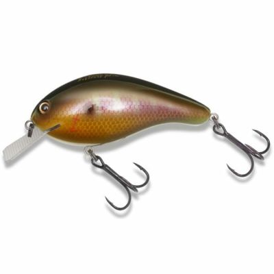 Z-CRANK Jr. (BLUE LABEL) ブルーバックシャッド | Megabass