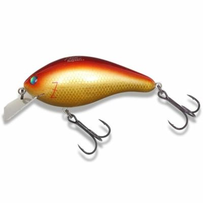 000000022168-01-m.jpg?t=