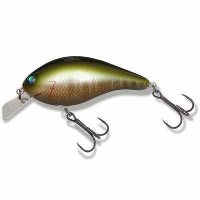 000000022169-01-m.jpg?t=