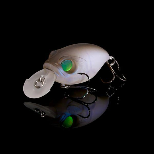 000000023515-01-l.jpg?t=