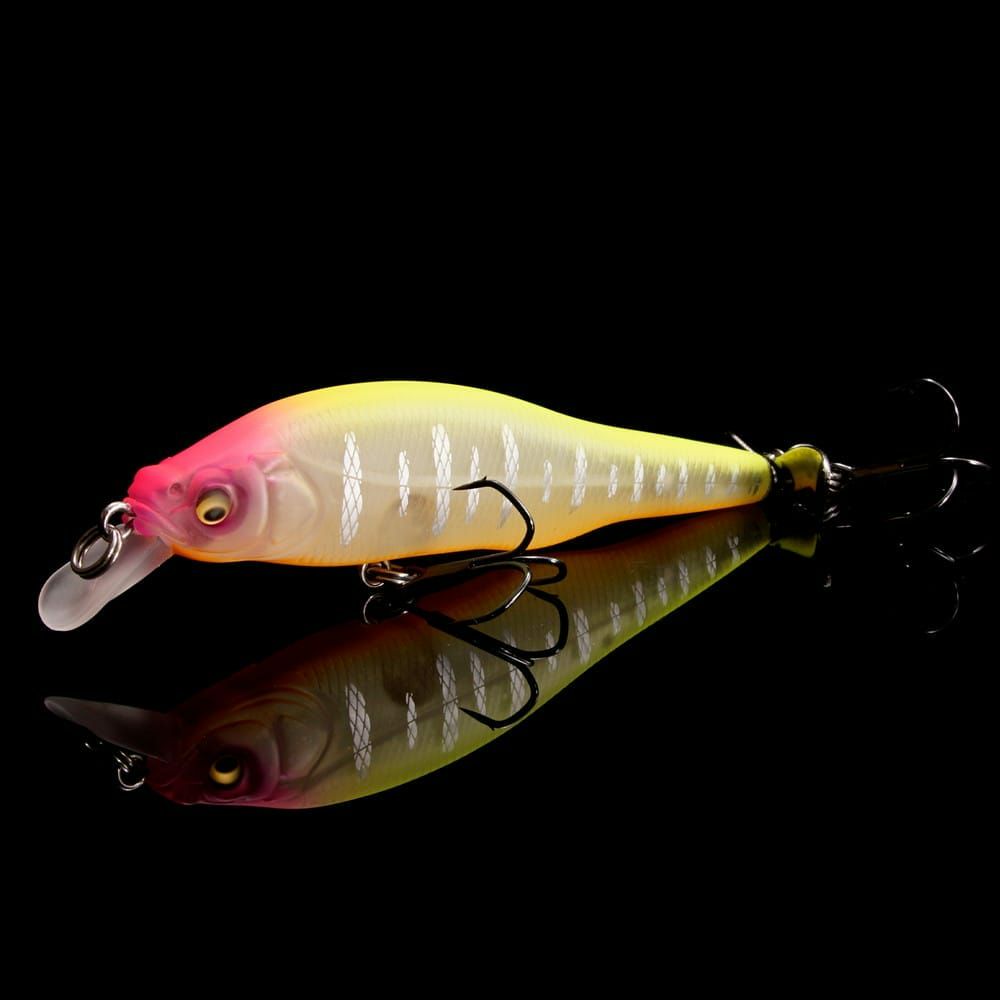 5月上旬発送】【オンライン限定】PROP DARTER 80 IF ハチロー